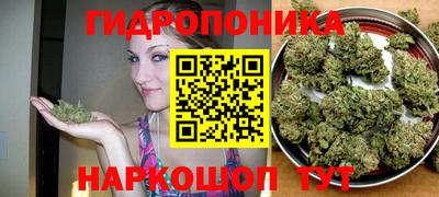 бошки Гусев