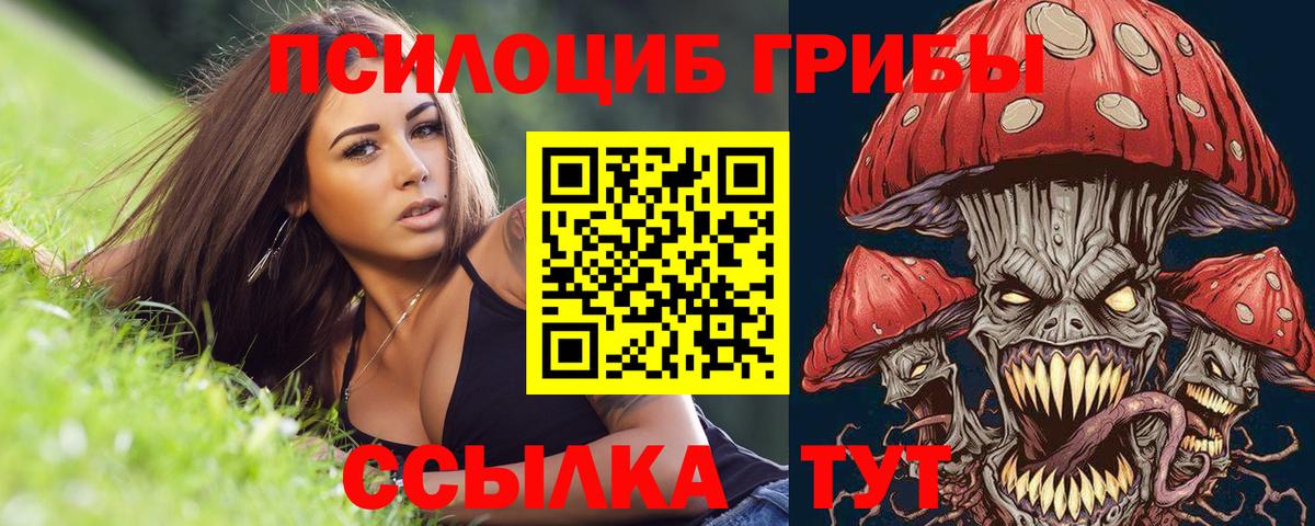 Псилоцибиновые грибы GOLDEN TEACHER Люберцы