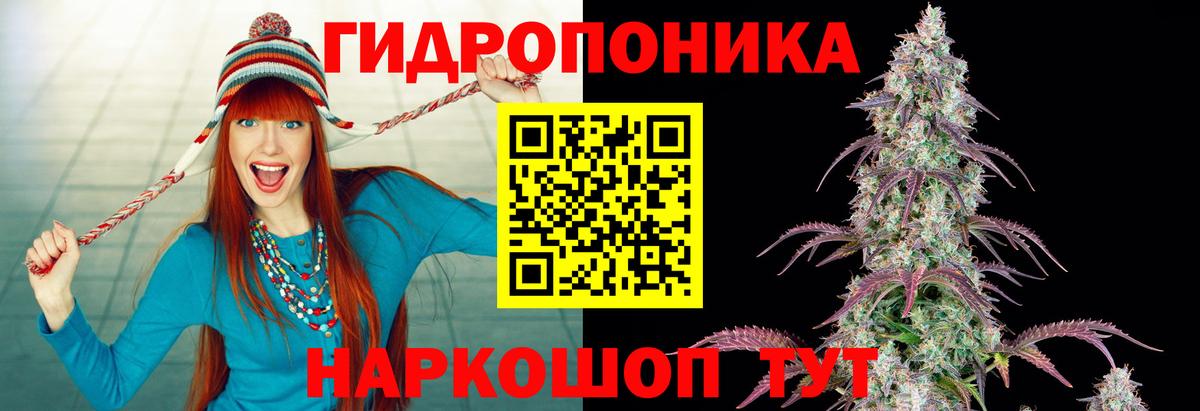 Бошки марихуана VHQ  Марихуана марихуана  Марихуана ГИДРОПОН  Бошки марихуана Amnesia  Люберцы  Вход с VPN 